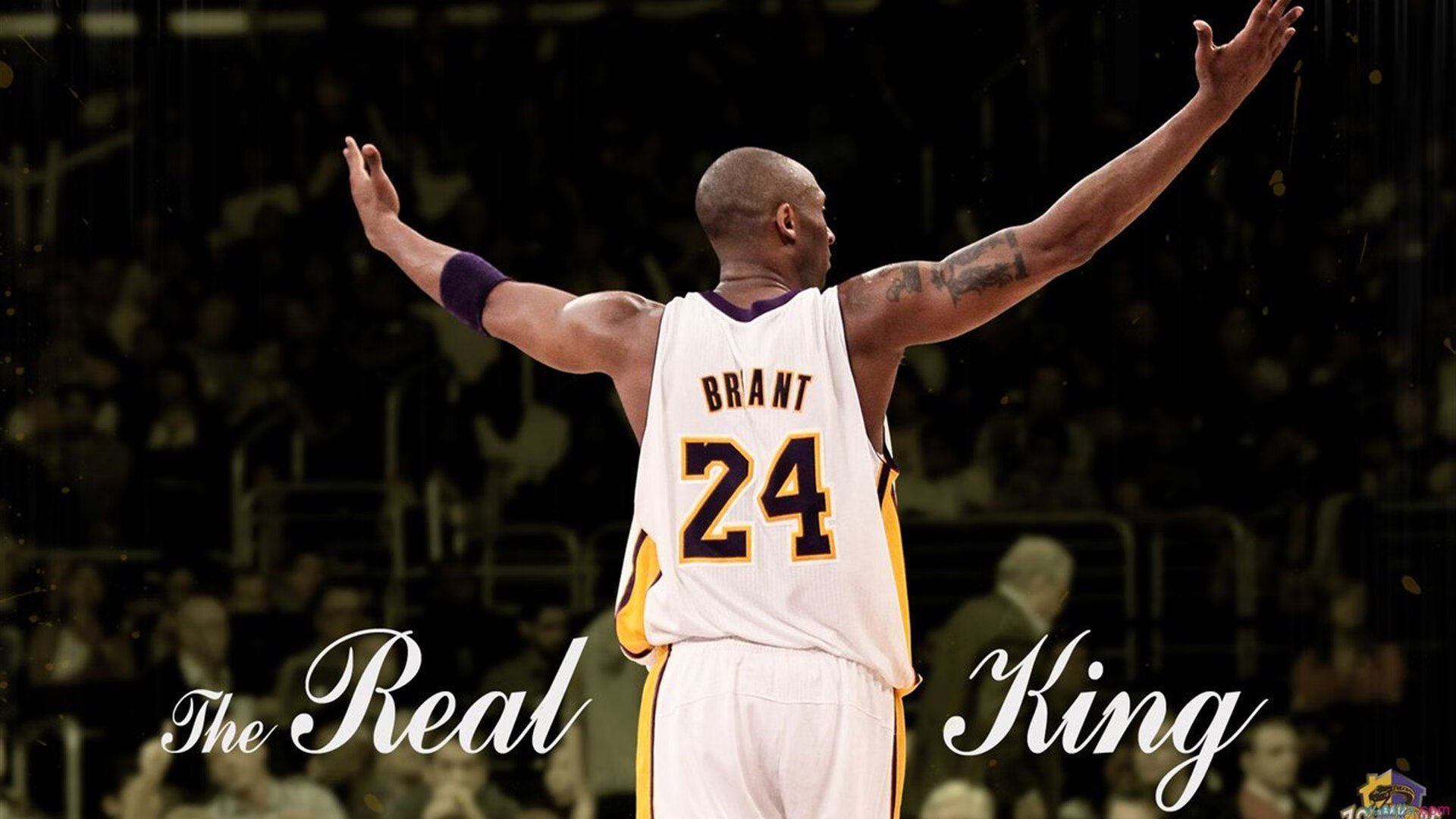 开拓者对阵吉林队,恩比德持续制造杀伤的战术解析